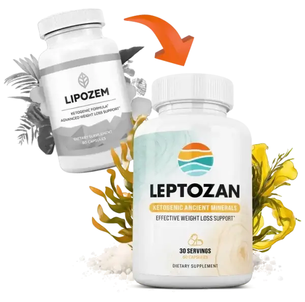 New Version vs Old Version